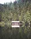 A serene lakeside scene with a wooden cabin nestled at the water's edge, surrounded by dense, lush green coniferous forest. The still water reflects the tall trees and the cabin, creating a mirror-like effect.