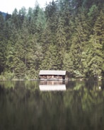 A serene lakeside cabin with natural wood exterior blending into the surrounding forest.
