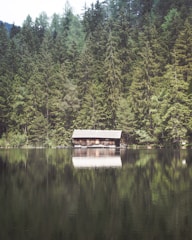 A serene lakeside scene with a wooden cabin nestled at the water's edge, surrounded by dense, lush green coniferous forest. The still water reflects the tall trees and the cabin, creating a mirror-like effect.
