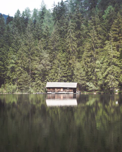 A serene lakeside cabin surrounded by tall pine trees under a soft sunset glow.