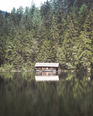 A peaceful lakeside cabin reflecting in the still water during early morning mist.