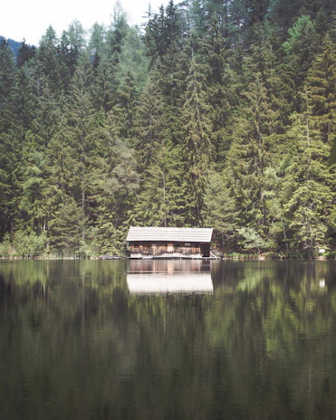 A serene lakeside cabin surrounded by tall trees, reflecting calm waters at dawn.