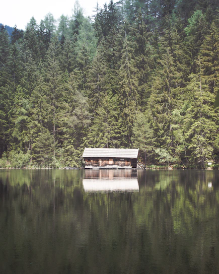 A serene lakeside cabin surrounded by tall pine trees under a soft sunset glow.