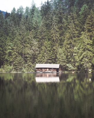 A serene lakeside scene with a wooden cabin nestled at the water's edge, surrounded by dense, lush green coniferous forest. The still water reflects the tall trees and the cabin, creating a mirror-like effect.