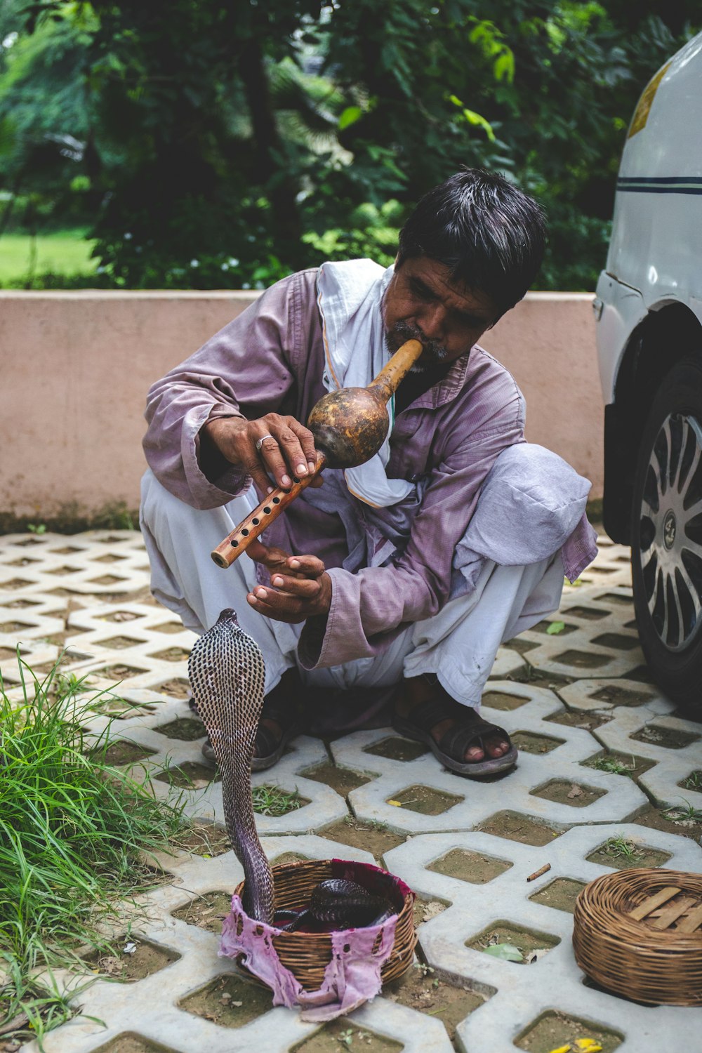 man playing flute in front of king cobra