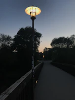 Evening shot of the village street lamp illuminating a quiet pathway lined with natural wooden accents.