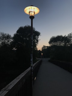 Landscape lighting illuminating a pathway at dusk.