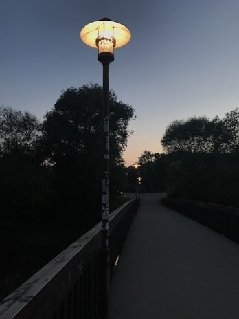 Landscape lighting illuminating a pathway at dusk.