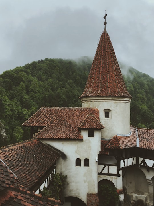 white and red concrete building near foggy mountain in Bran Castle Romania