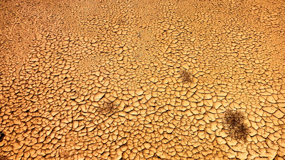 tierra seca molida