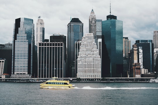 photography of New York skyline in Brooklyn Bridge Park United States