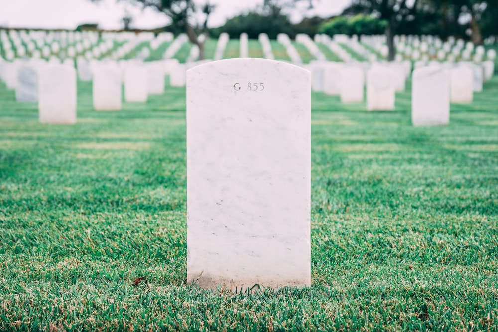 graveyard with stones