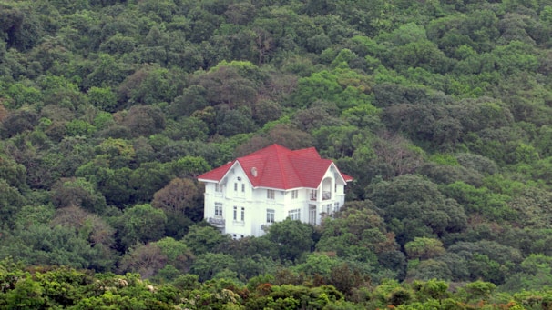 A solitary white house with a red roof is nestled amidst a dense forest of lush green trees, creating a secluded and serene atmosphere.