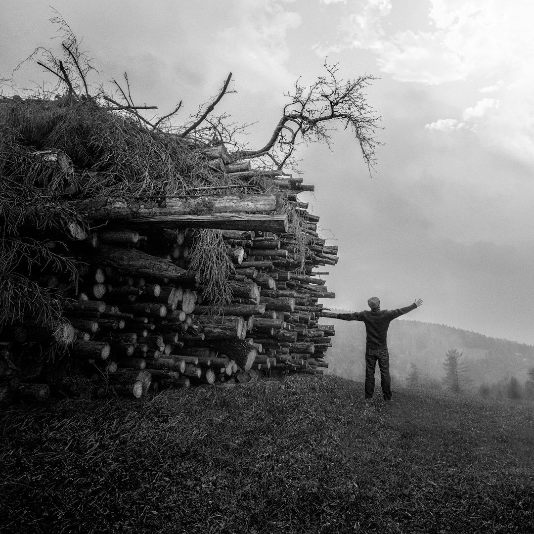 Natural landscape photo spot Gmundnerberg 92 Hohensalzburg