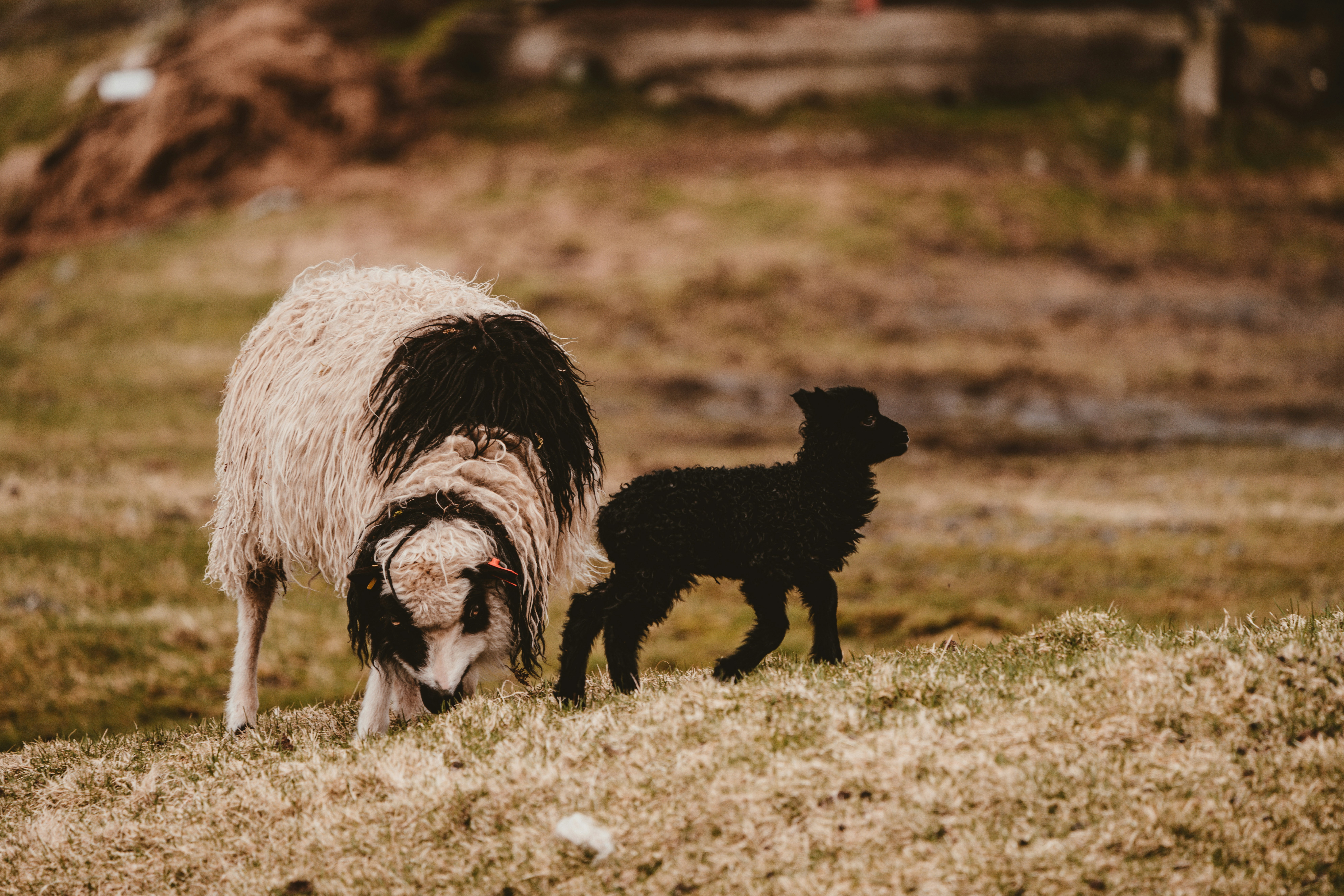 Photo by anniespratt