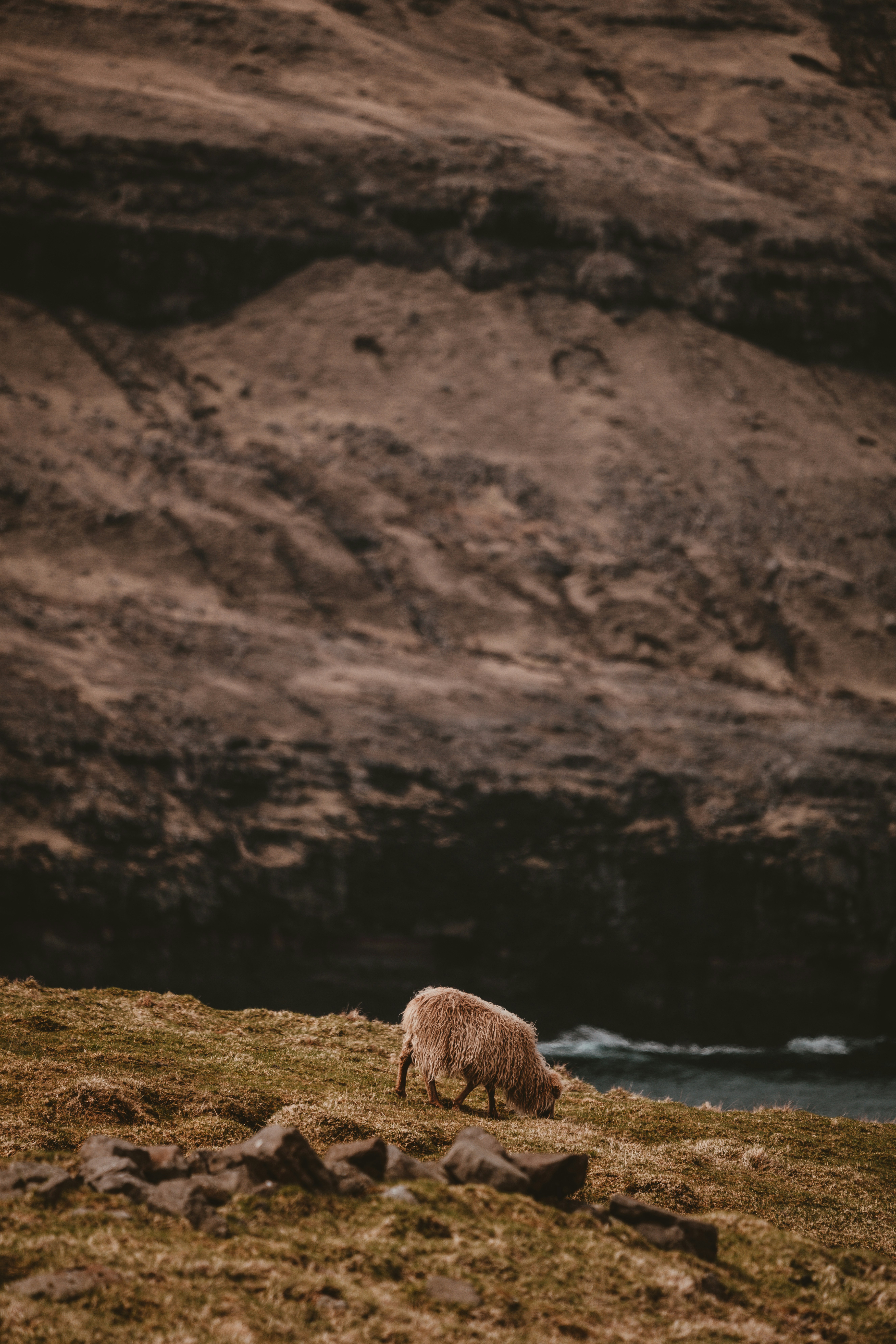 Photo by anniespratt