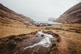 A small village is nestled between large, rugged mountains and a tranquil body of water. A narrow stream flows through a grassy field towards the village, which contains several quaint houses with roofs of varying colors.