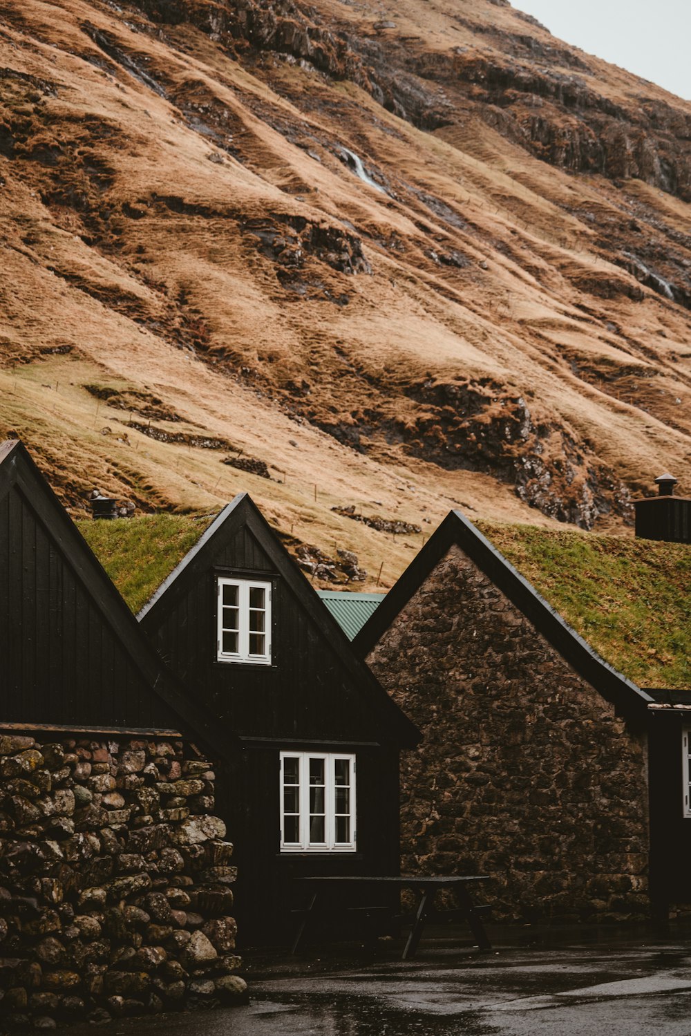 houses near the mountain