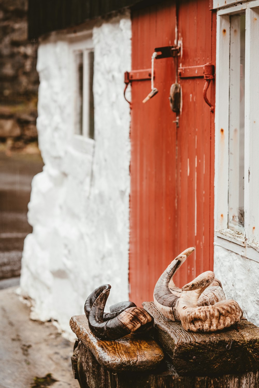 two pairs of rams antleers on brown wooden table near red metal doors