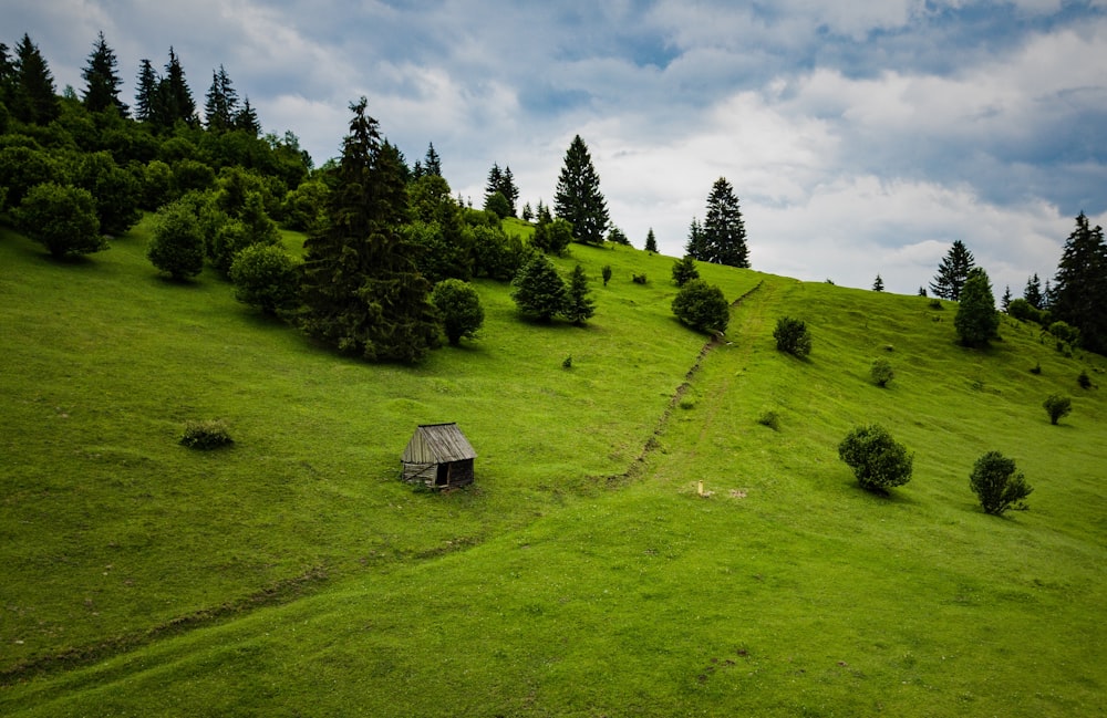 green field under cloudy sky during daytime