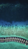 bird's-eye view photography of beach line