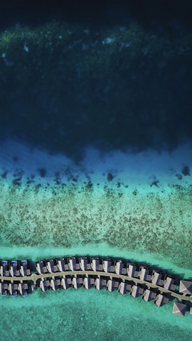bird's-eye view photography of beach line