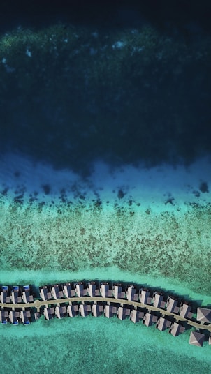 bird's-eye view photography of beach line