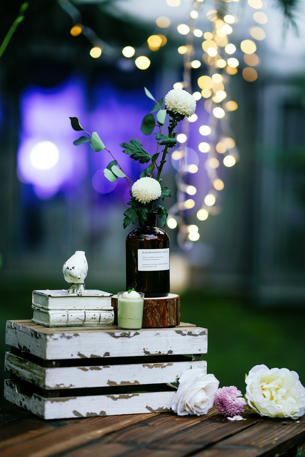 white petaled flower on box