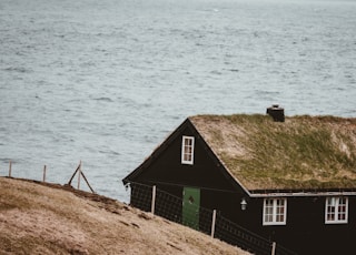 house near body of water