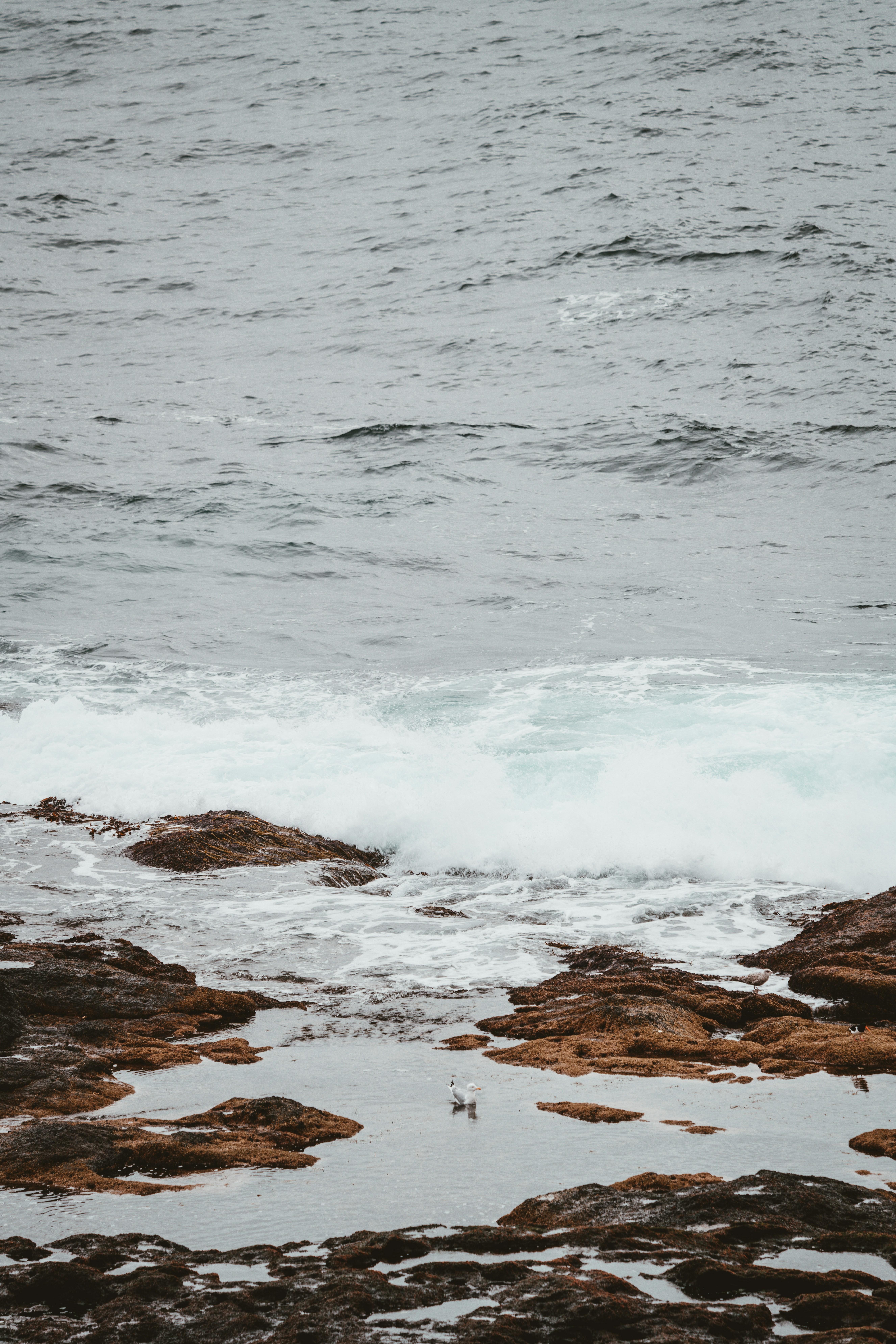 Photo by anniespratt