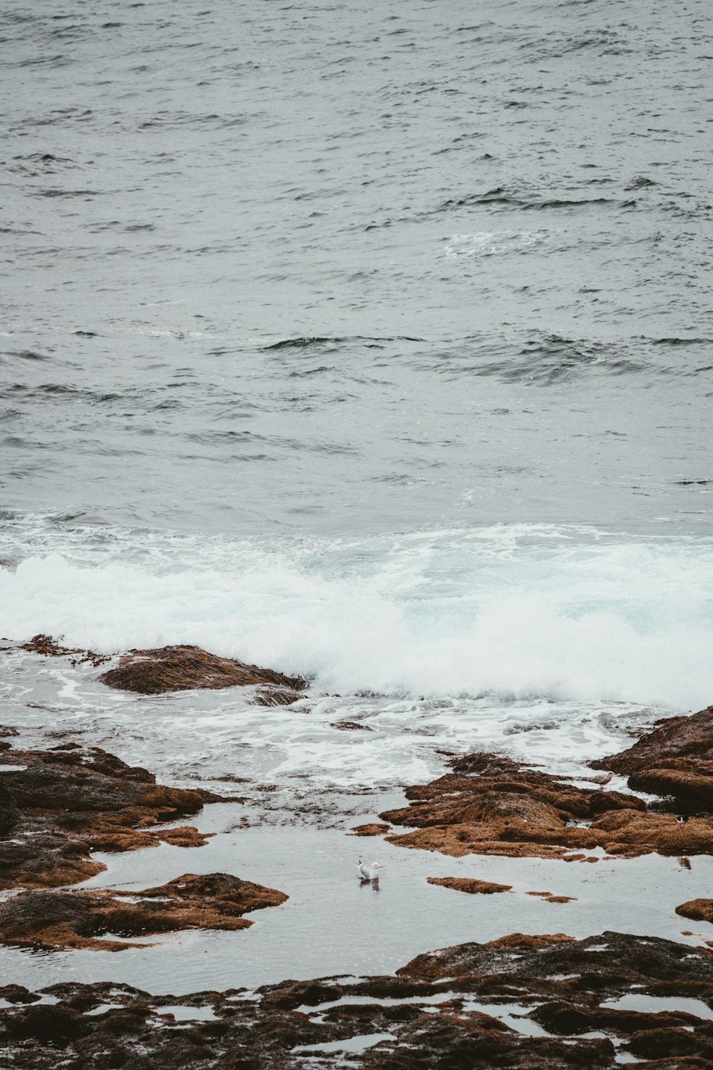 wave in seashore during daytime