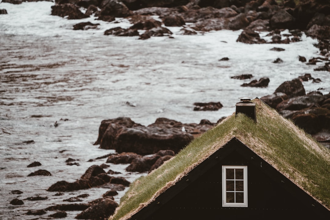 brown house near body of water, Grass roofed Nordic home