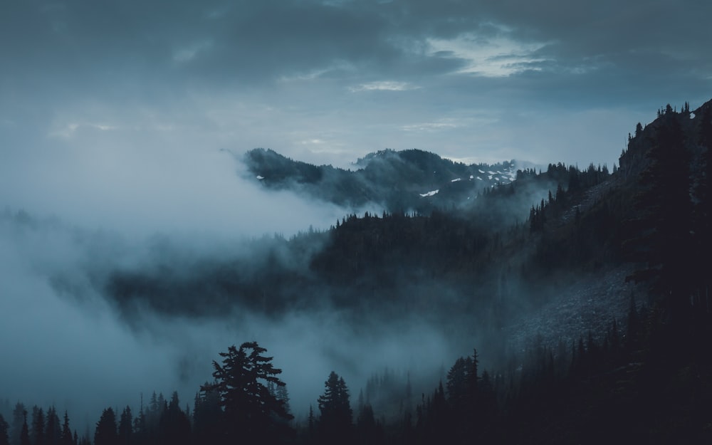 100+ Moody Pictures | Download Free Images on Unsplash