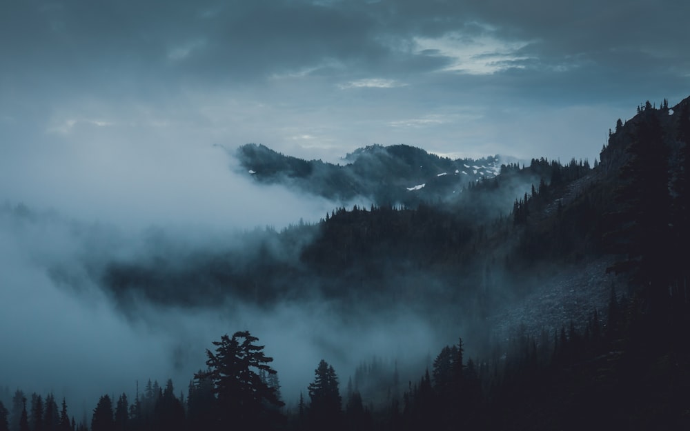 a mountain covered in fog with trees in the foreground