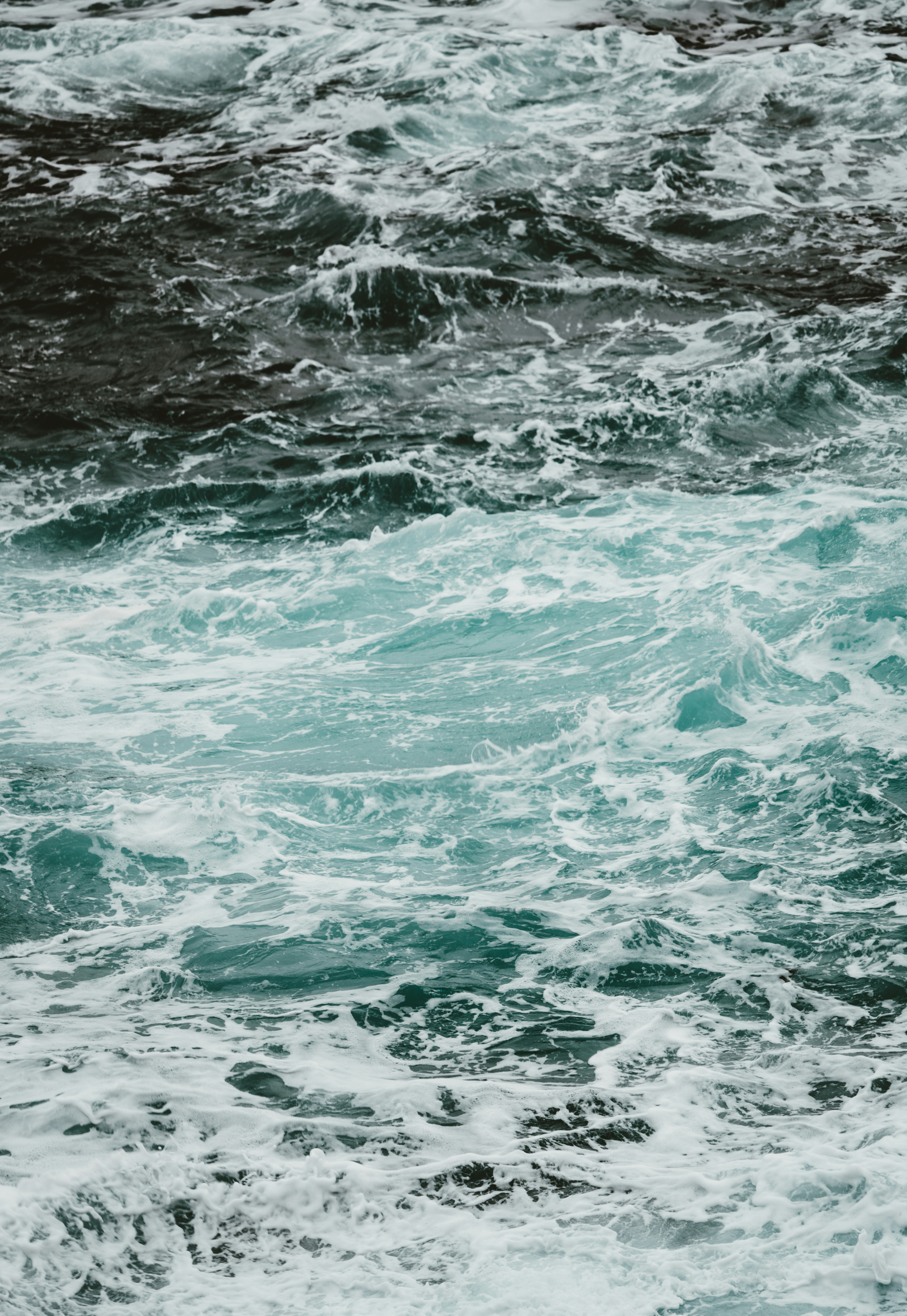 Photo by anniespratt