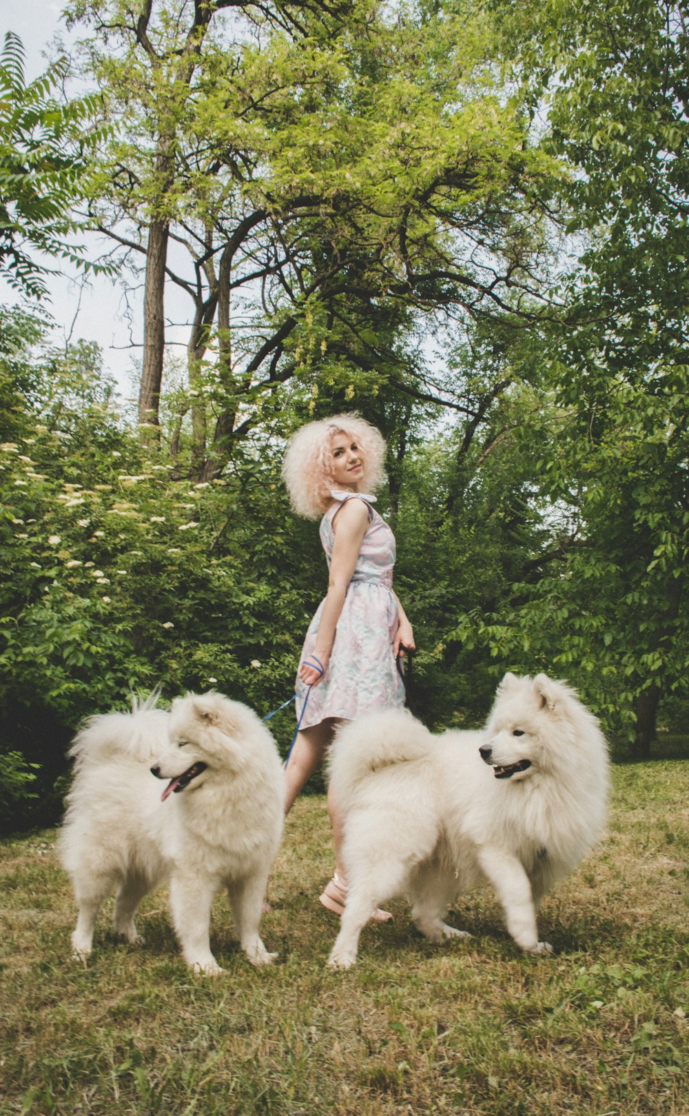 a woman standing next to three white dogs