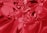 a close up of a red liquid substance