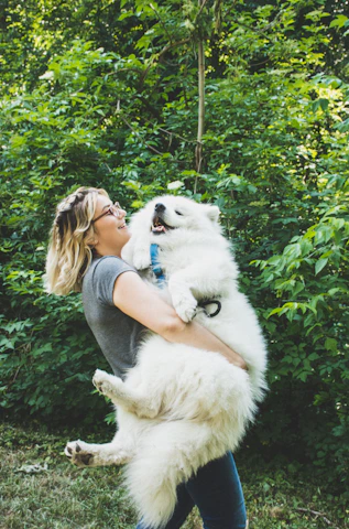 Smiling person reviewing a financial plan while their dog sits beside them.