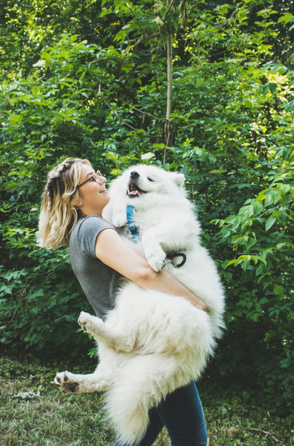 woman carrying long-coated white dog near green leafed plants