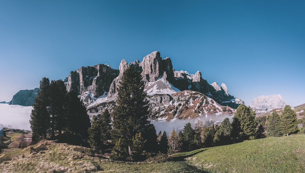 Foto di montagna vicino agli alberi