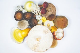 An assortment of various mushrooms arranged artistically against a plain white background. The mushrooms display a range of colors and textures, including earthy browns, vibrant yellows, and muted whites. Some mushrooms have round, cap-like tops, while others display more intricate gill patterns.