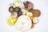 An assortment of various mushrooms arranged artistically against a plain white background. The mushrooms display a range of colors and textures, including earthy browns, vibrant yellows, and muted whites. Some mushrooms have round, cap-like tops, while others display more intricate gill patterns.