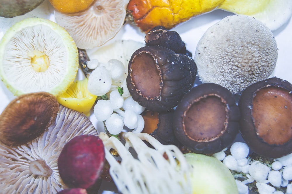 assorted mushrooms