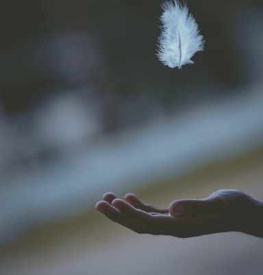 shallow focus photography of white feather dropping in person's hand