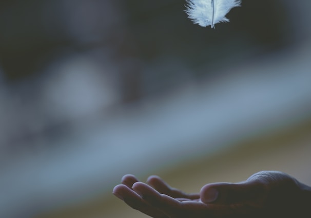 shallow focus photography of white feather dropping in person's hand