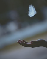 shallow focus photography of white feather dropping in person's hand