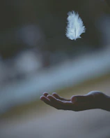 shallow focus photography of white feather dropping in person's hand