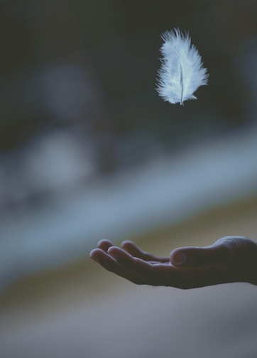 shallow focus photography of white feather dropping in person's hand