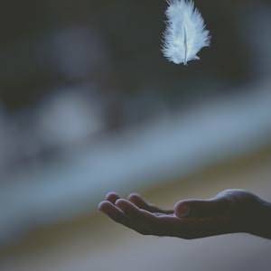 shallow focus photography of white feather dropping in person's hand