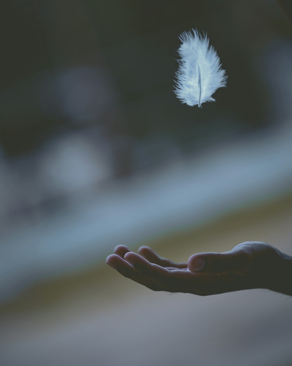 Fotografía de enfoque superficial de pluma blanca cayendo en la mano de la persona